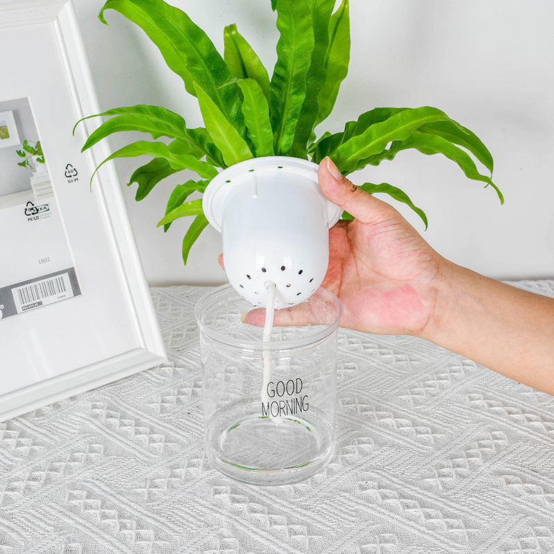 Double Tier Hydroponic Epipremnum Aureum Self-watering Flowerpot Home Decor Double Tier Visual Water Level Flowerpot